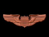Air Force Pilot
