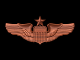 Air Force Pilot, Senior