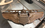 Air Force Pilot