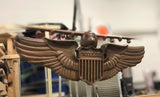 Air Force Pilot