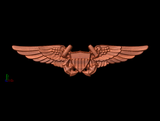 Navy & Marine Corps Flight Officer