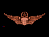 Army Aviator Wings, Master