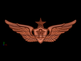 Army Air Crew, Senior