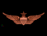 Army Aviator Wings, Senior