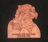 Air Force Buzzard Plaque Legacy